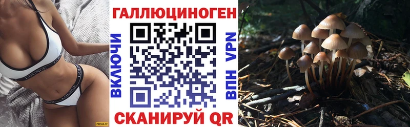 Галлюциногенные грибы Magic Shrooms  гидра зеркало  Ржев 